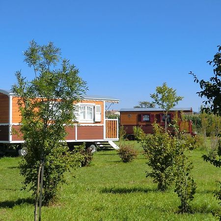 Les Roulottes-Gites De La Ferme De L'Autruche Dromoise Livron-sur-Drôme Exterior foto